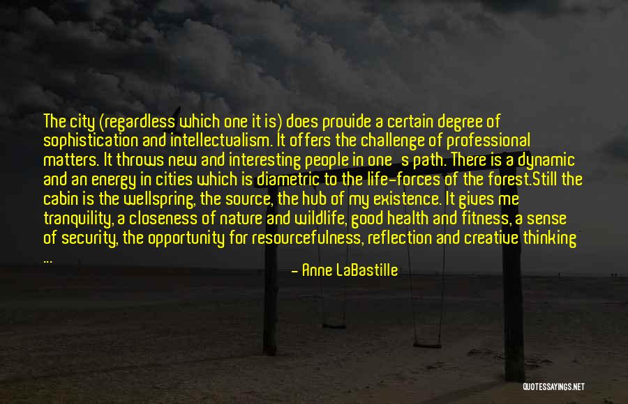 Matters And Energy Quotes By Anne LaBastille Matters And Energy Quotes By Anne LaBastille