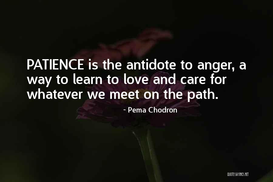 Matteucci Gallery Quotes By Pema Chodron Matteucci Gallery Quotes By Pema Chodron