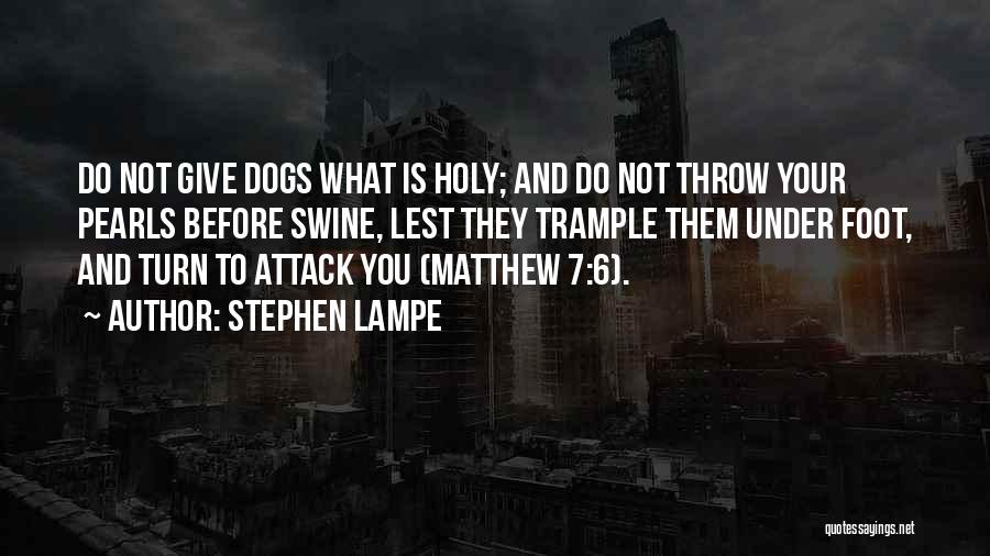 Matthew 7 Quotes By Stephen Lampe