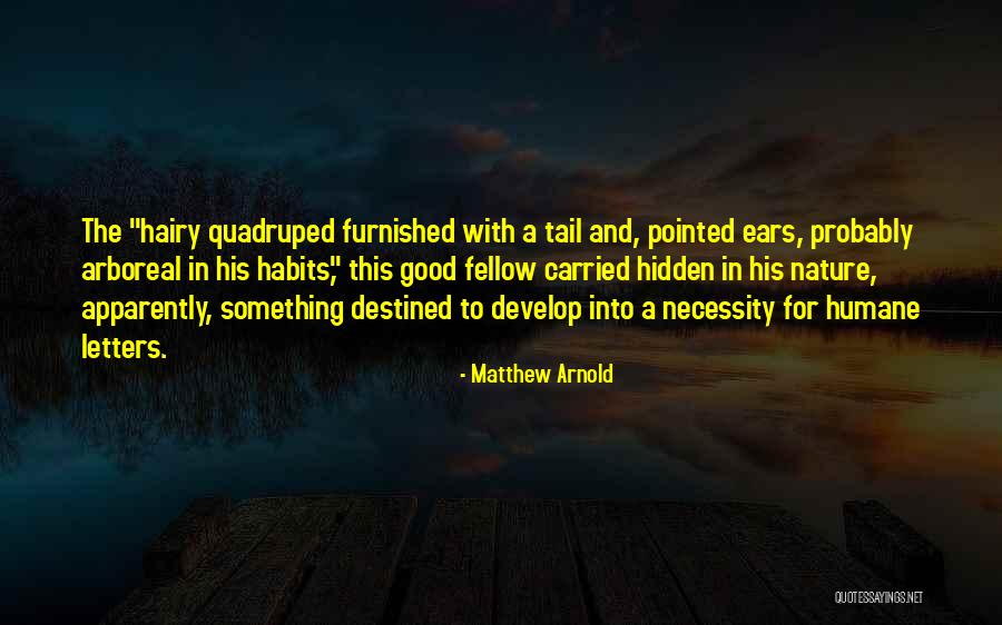 Matthew Arnold Quotes 1931037