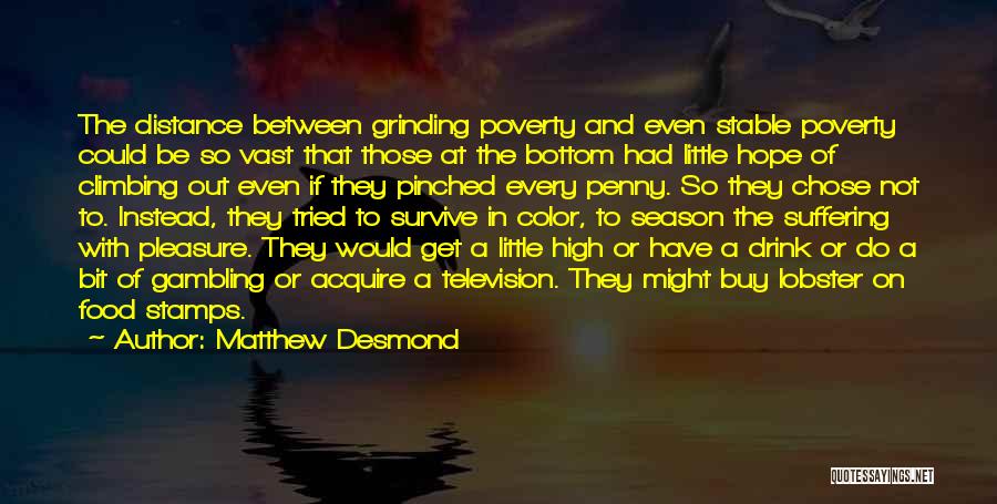 Matthew Desmond Quotes 1718501