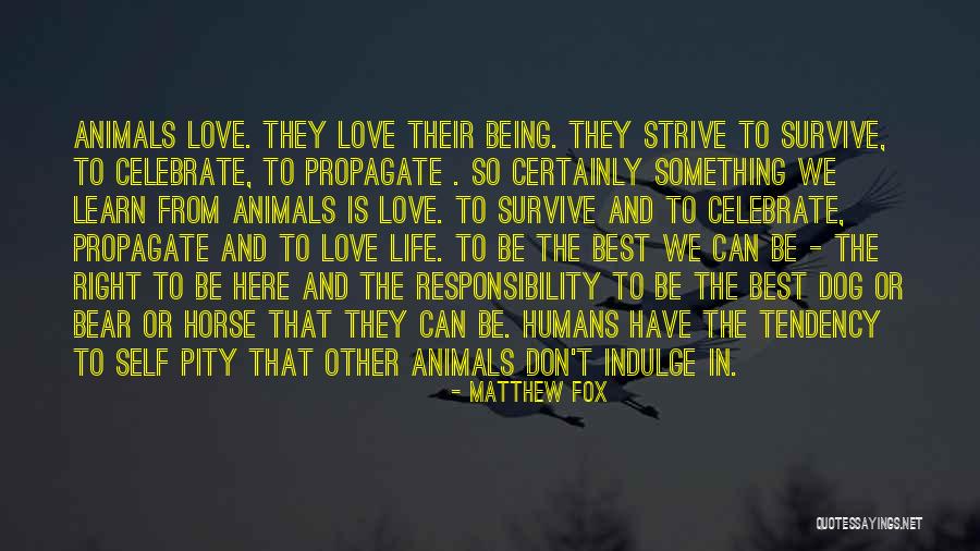Matthew Fox Quotes 1199694 Matthew Fox Quotes 1199694