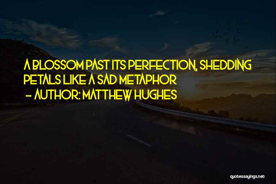 Matthew Hughes Quotes 2088109