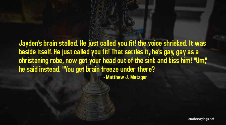 Matthew J. Metzger Quotes 1671693