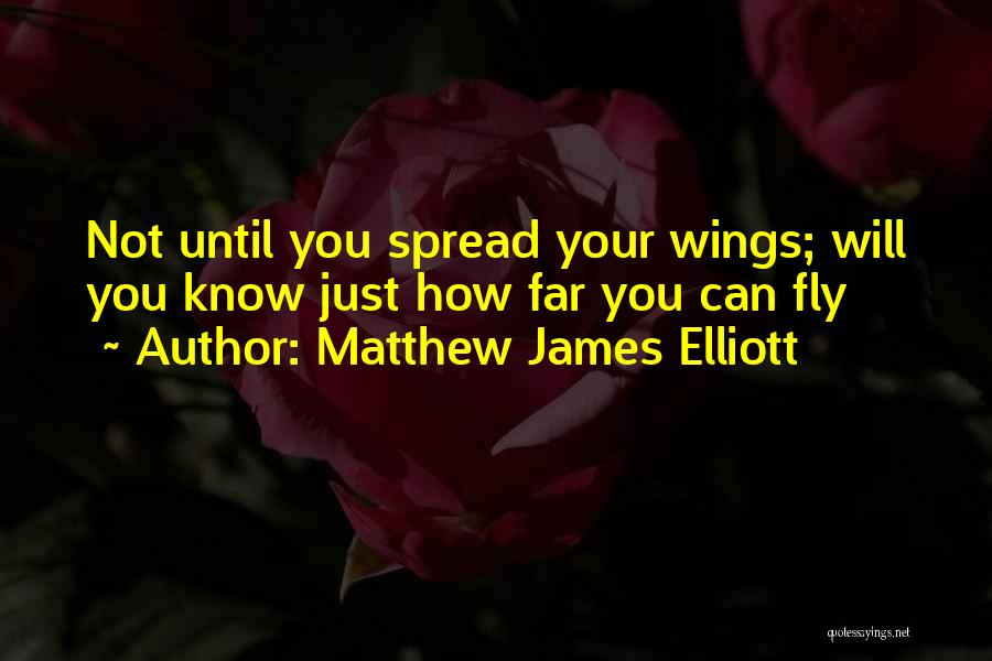 Matthew James Elliott Quotes 2151661