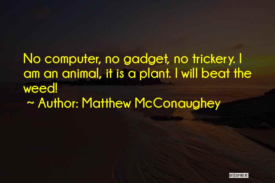Matthew McConaughey Quotes 1762927