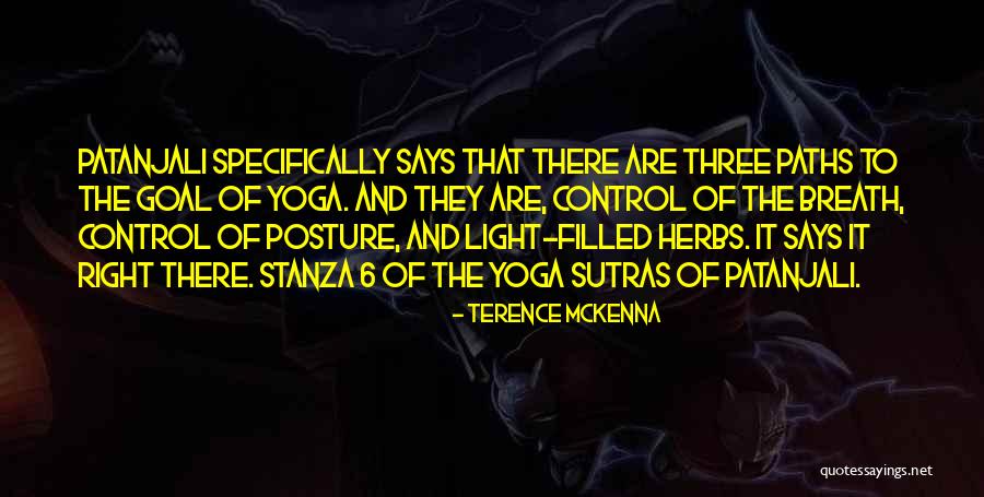 Matthew Mcconaughey Surfer Dude Quotes By Terence McKenna Matthew Mcconaughey Surfer Dude Quotes By Terence McKenna