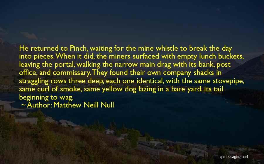 Matthew Neill Null Quotes 2055435