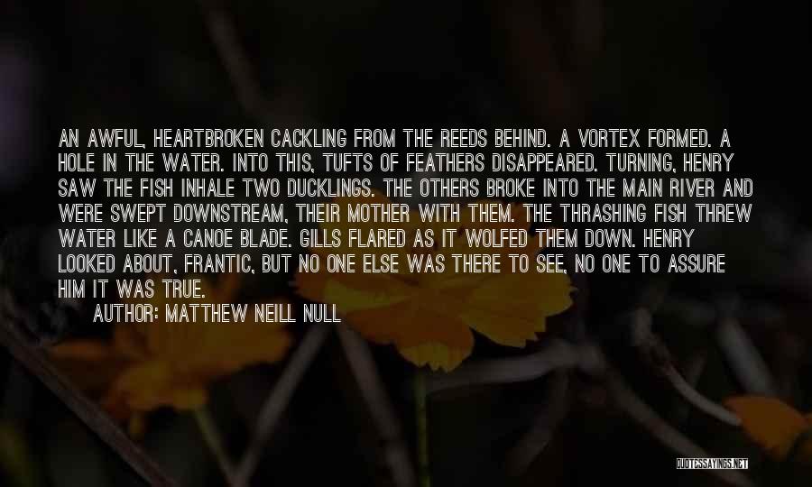 Matthew Neill Null Quotes 426944