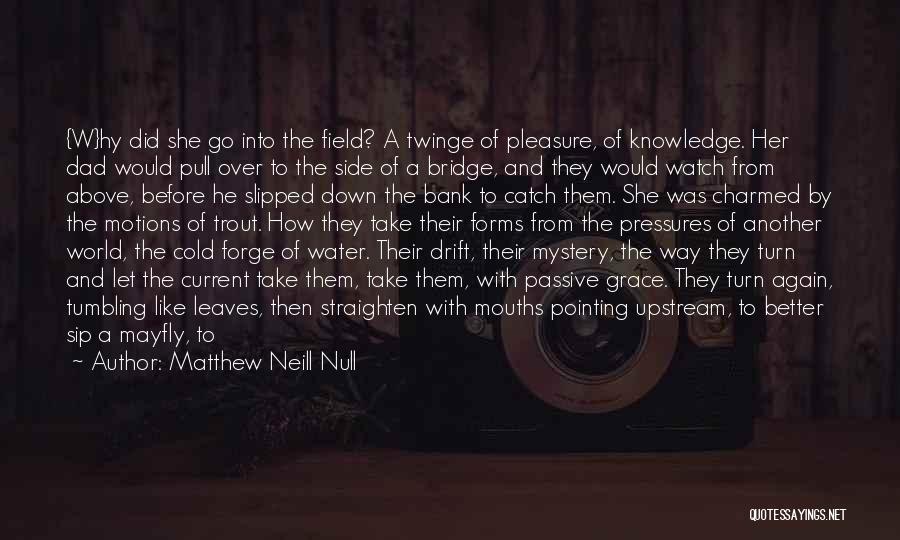 Matthew Neill Null Quotes 502006