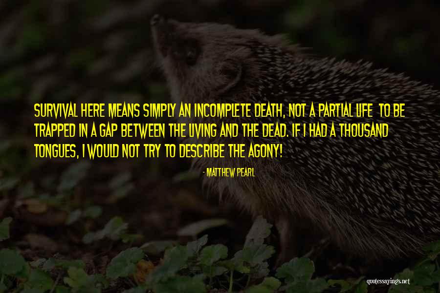 Matthew Pearl Quotes 1885588 Matthew Pearl Quotes 1885588