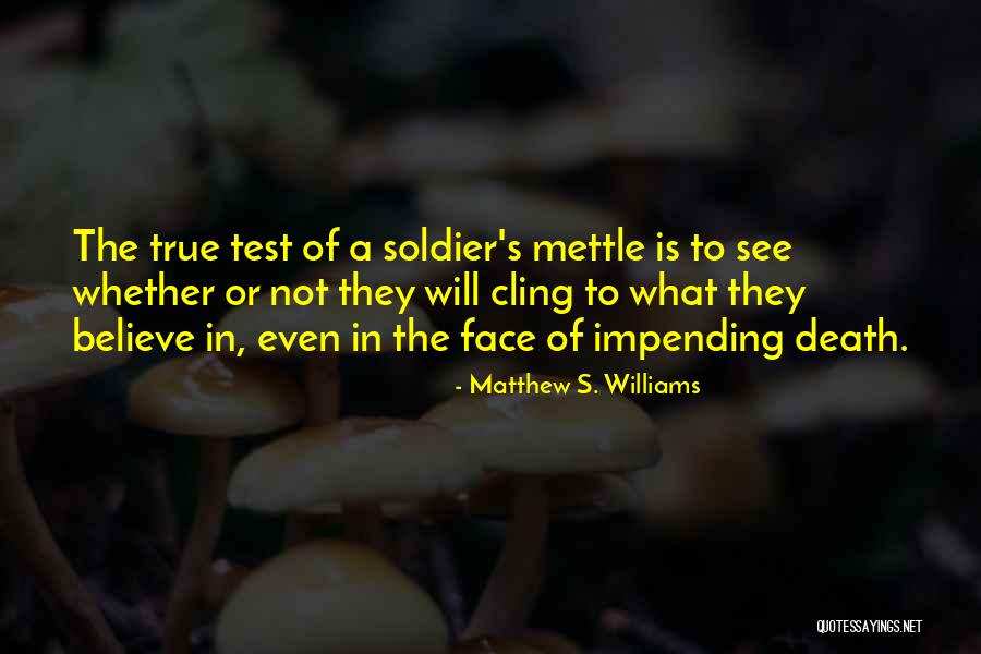 Matthew S. Williams Quotes 1240681