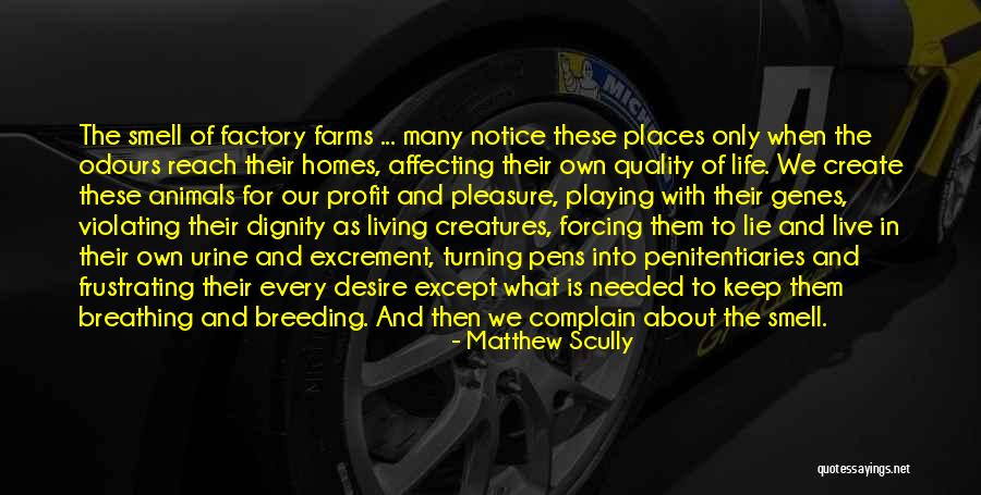 Matthew Scully Animal Quotes By Matthew Scully Matthew Scully Animal Quotes By Matthew Scully