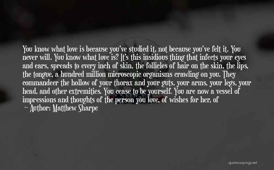Matthew Sharpe Quotes 1103195