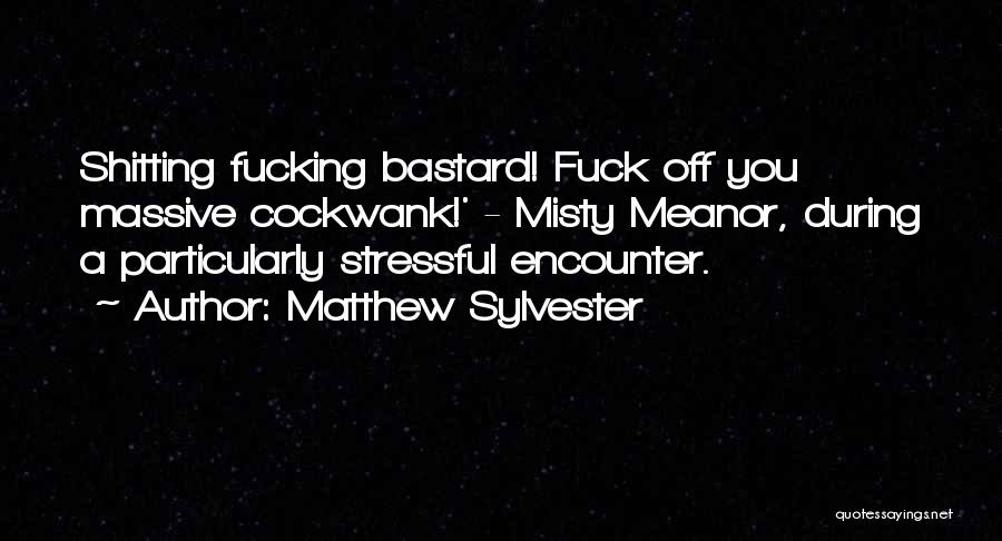 Matthew Sylvester Quotes 507075