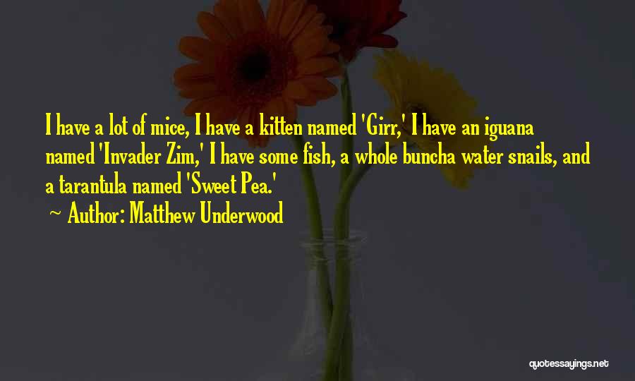 Matthew Underwood Quotes 1705510