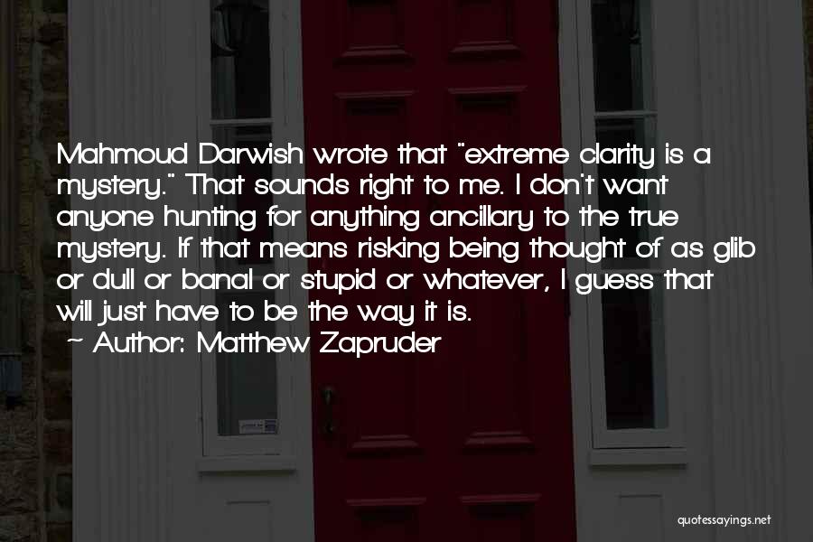 Matthew Zapruder Quotes 1567328