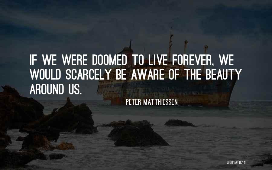Matthiessen Quotes By Peter Matthiessen Matthiessen Quotes By Peter Matthiessen