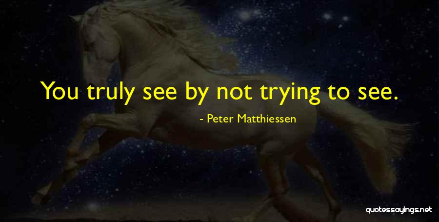 Matthiessen Quotes By Peter Matthiessen