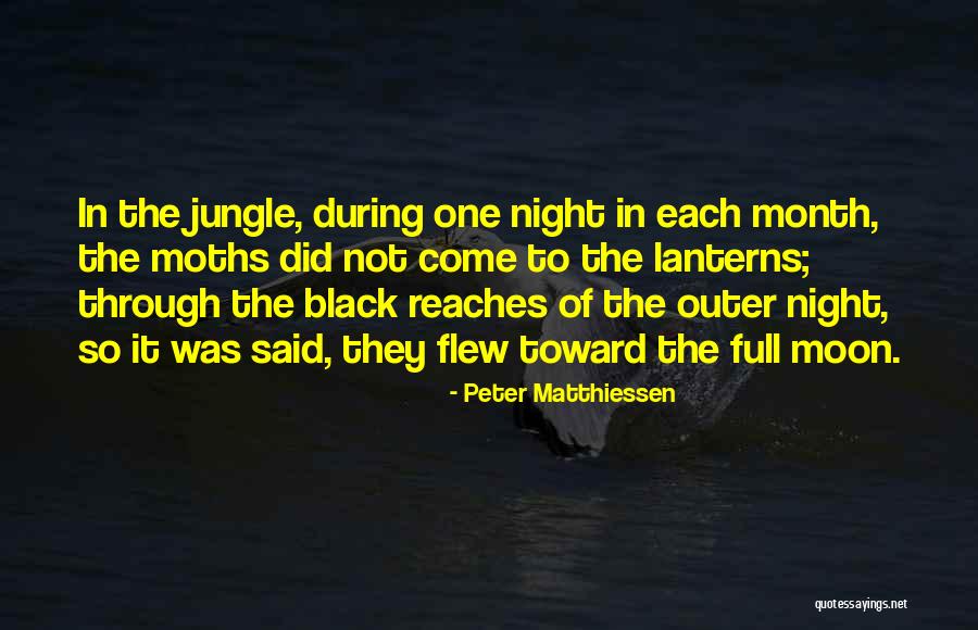 Matthiessen Quotes By Peter Matthiessen Matthiessen Quotes By Peter Matthiessen