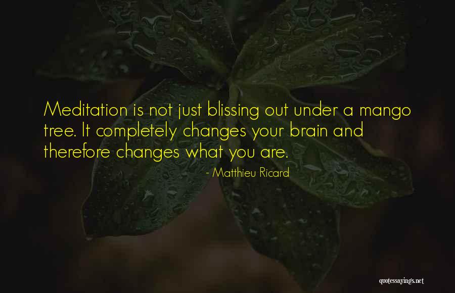 Matthieu Ricard Quotes 1569425 Matthieu Ricard Quotes 1569425