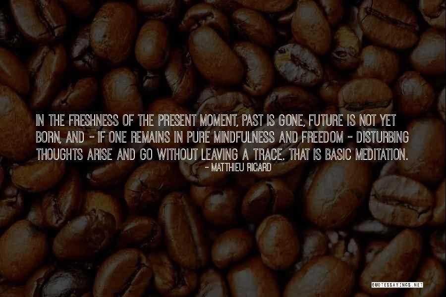 Matthieu Ricard Quotes 1731682 Matthieu Ricard Quotes 1731682