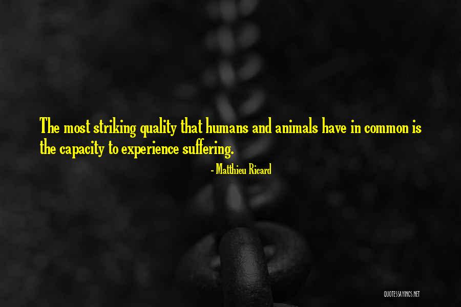 Matthieu Ricard Quotes 818477 Matthieu Ricard Quotes 818477