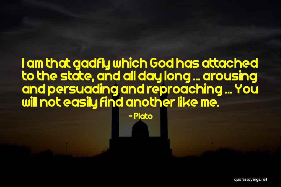 Mattiazzi Medici Quotes By Plato Mattiazzi Medici Quotes By Plato