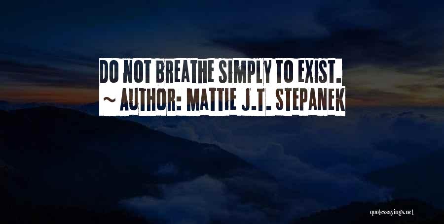 Mattie J.T. Stepanek Quotes 1625971
