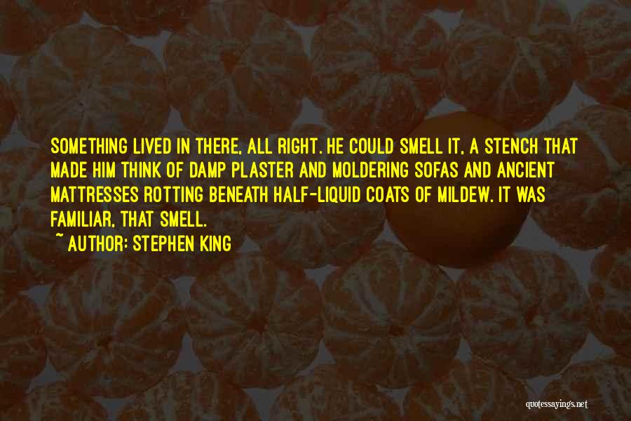 Mattresses Quotes By Stephen King