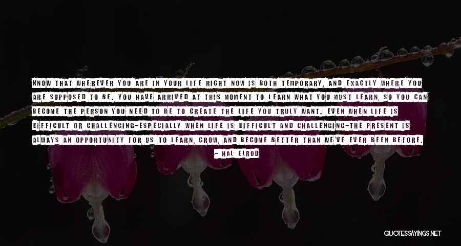 Mattsson Boze Quotes By Hal Elrod Mattsson Boze Quotes By Hal Elrod