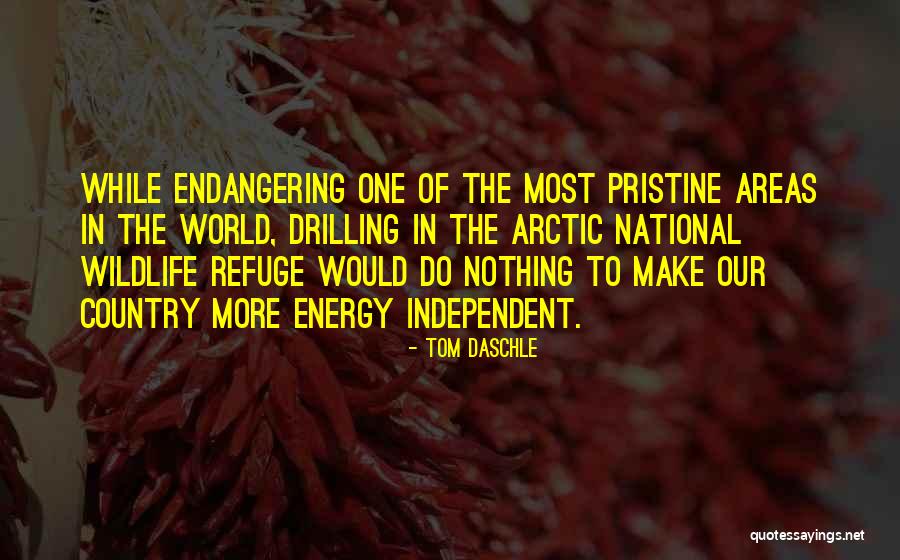 Matukio Daima Quotes By Tom Daschle Matukio Daima Quotes By Tom Daschle