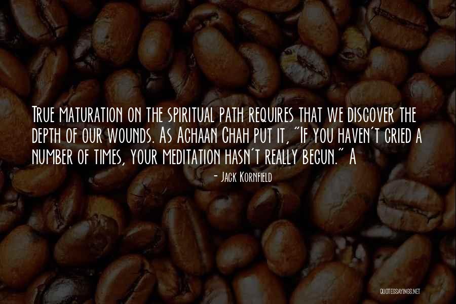 Maturation Quotes By Jack Kornfield Maturation Quotes By Jack Kornfield