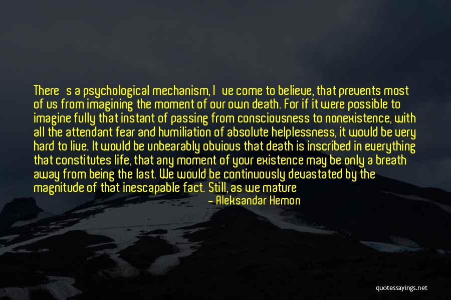 Mature Life Quotes By Aleksandar Hemon Mature Life Quotes By Aleksandar Hemon