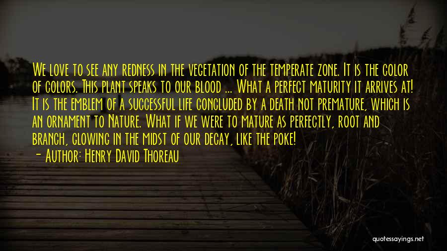 Mature Love Quotes By Henry David Thoreau