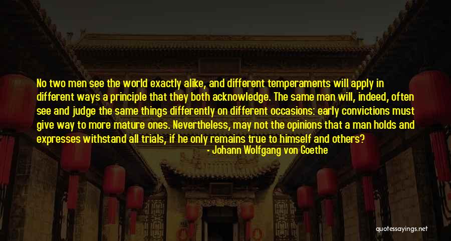 Mature Man Quotes By Johann Wolfgang Von Goethe