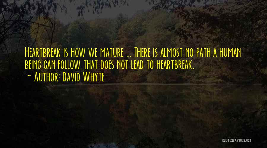 Mature Quotes By David Whyte