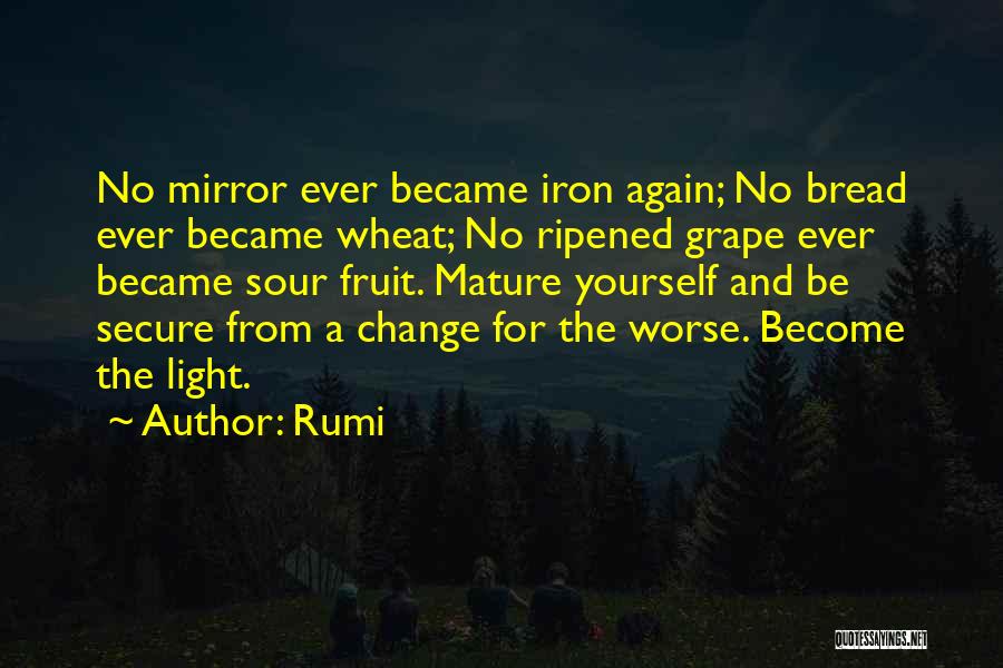 Maturity And Change Quotes By Rumi