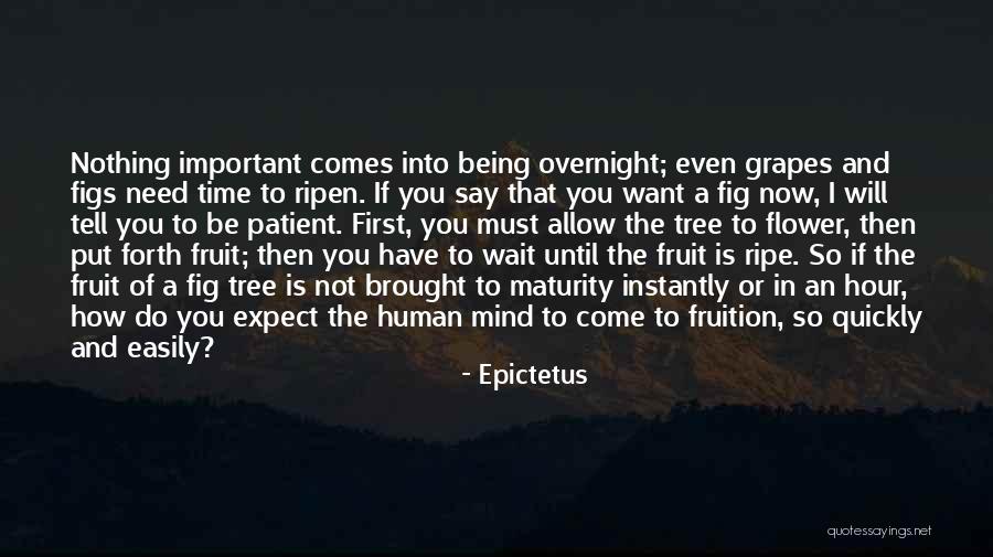 Maturity Comes Quotes By Epictetus Maturity Comes Quotes By Epictetus