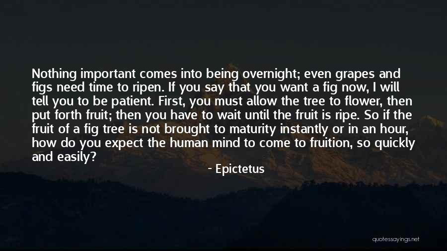 Maturity Comes Quotes By Epictetus