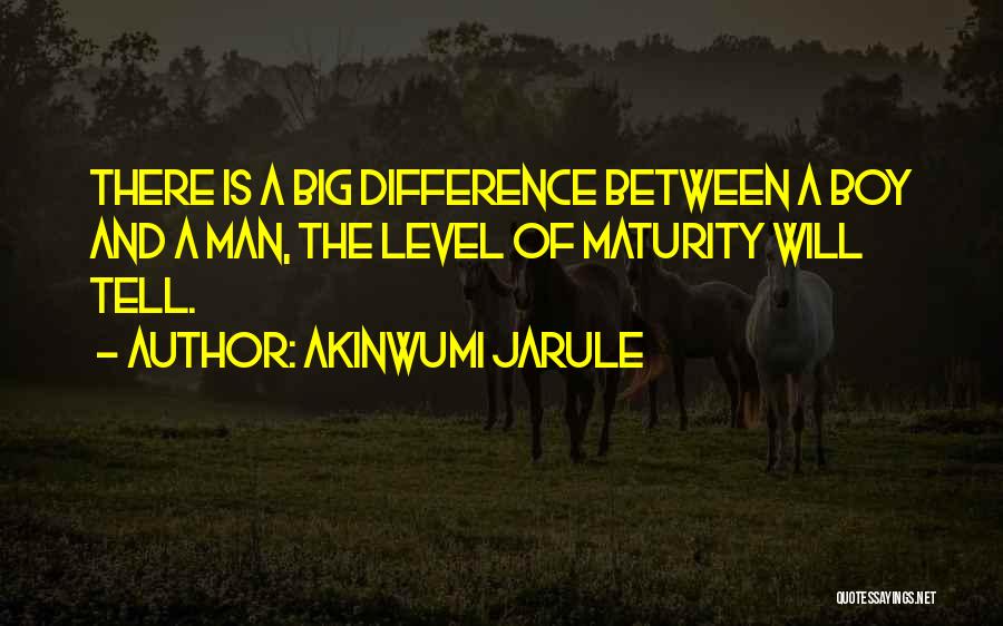 Maturity Level Quotes By Akinwumi Jarule