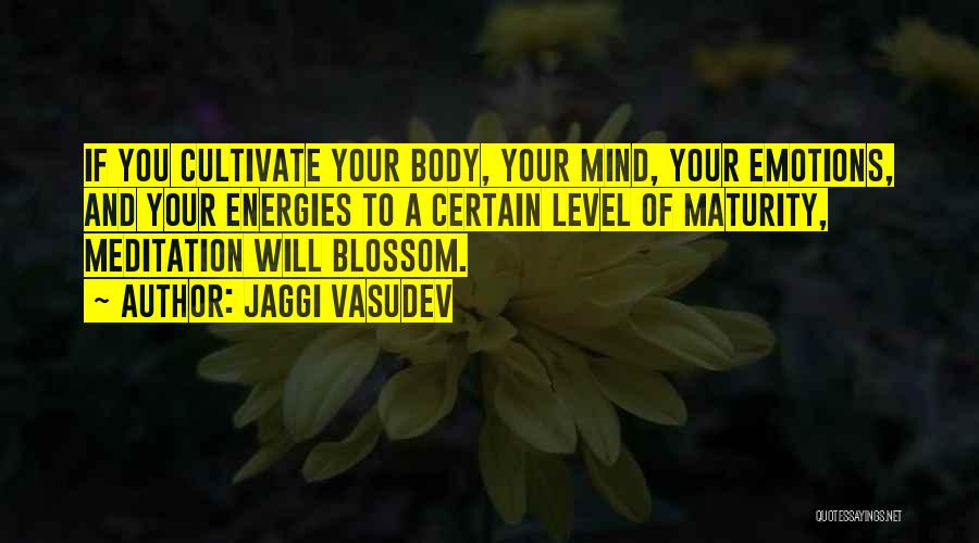 Maturity Level Quotes By Jaggi Vasudev