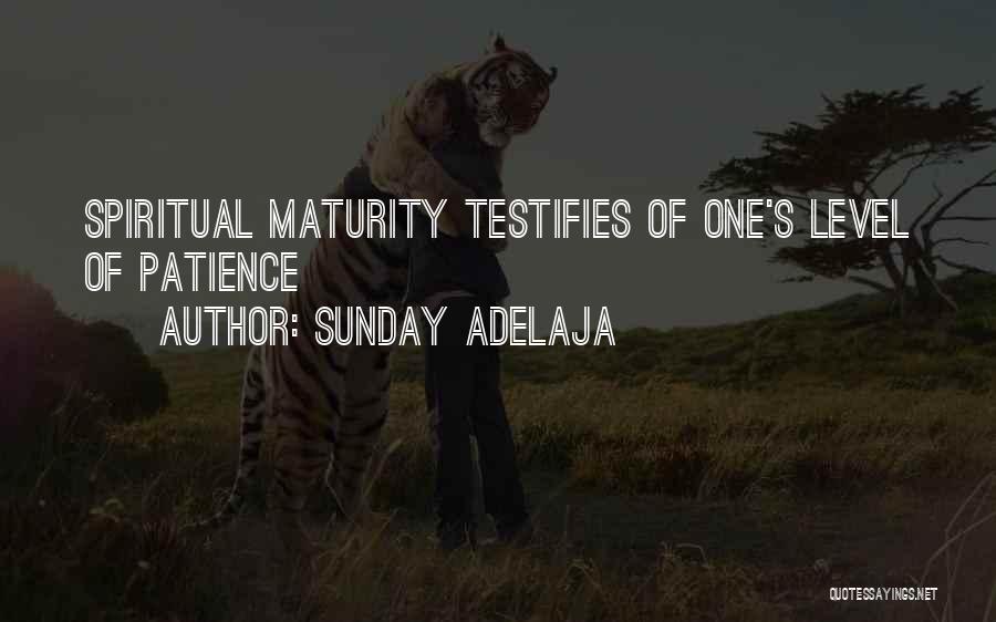 Maturity Level Quotes By Sunday Adelaja