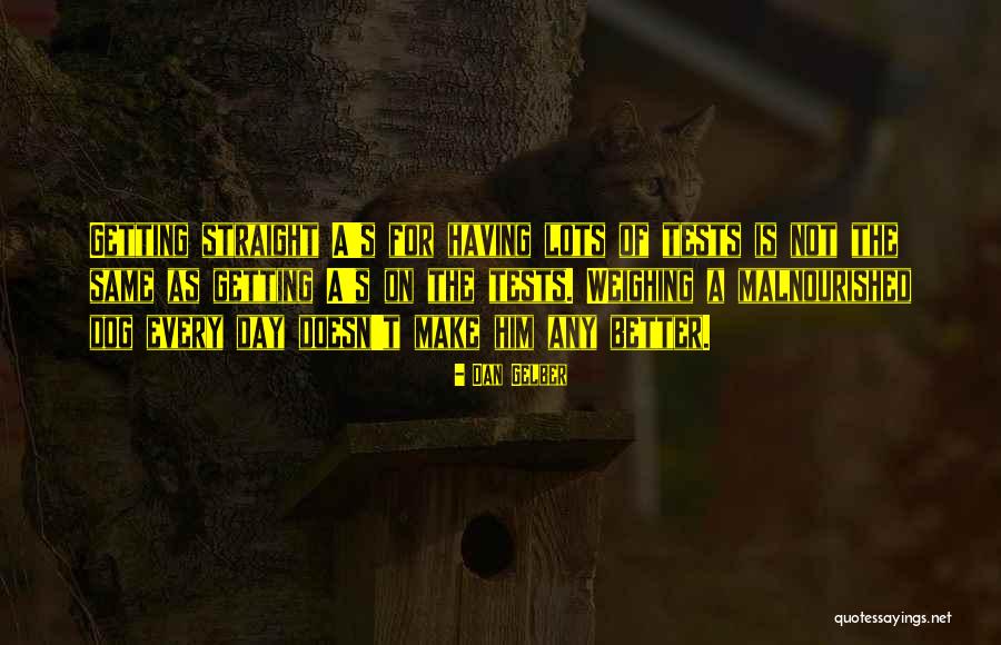 Matzen Timm Quotes By Dan Gelber Matzen Timm Quotes By Dan Gelber