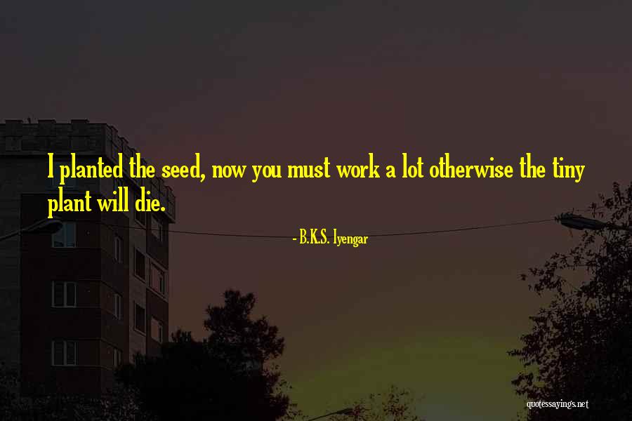 Maudon Ly Quotes By B.K.S. Iyengar Maudon Ly Quotes By B.K.S. Iyengar
