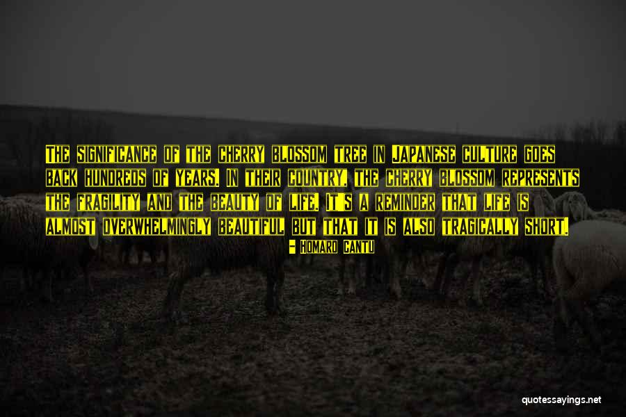 Mauerhan David Quotes By Homaro Cantu Mauerhan David Quotes By Homaro Cantu