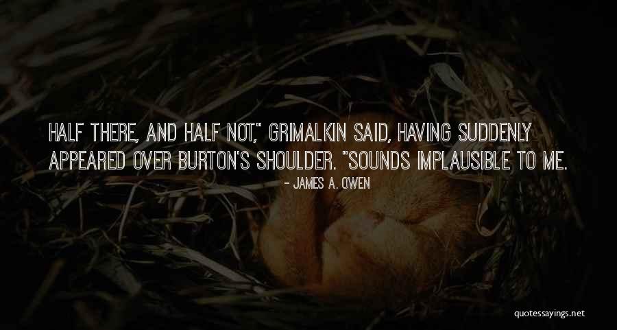 Mauern Aus Quotes By James A. Owen Mauern Aus Quotes By James A. Owen