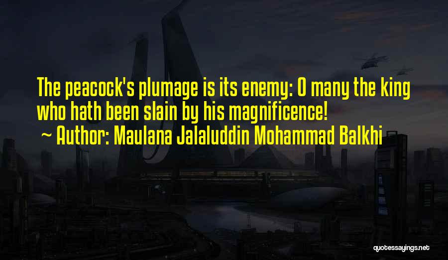 Maulana Jalaluddin Mohammad Balkhi Quotes 186032