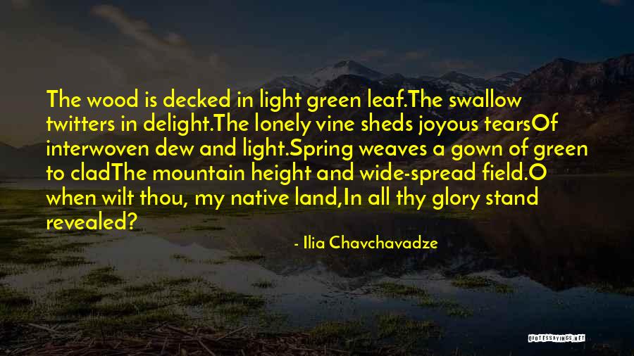 Maulucci Ricotta Quotes By Ilia Chavchavadze Maulucci Ricotta Quotes By Ilia Chavchavadze