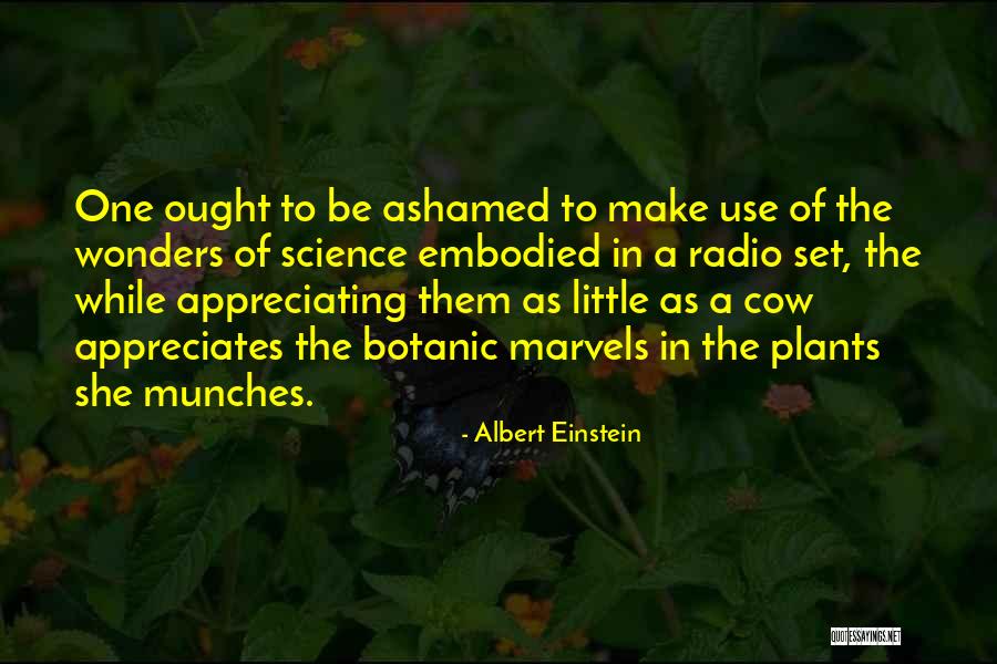 Maupiti Hotels Quotes By Albert Einstein Maupiti Hotels Quotes By Albert Einstein